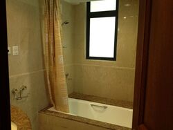 Valley Park (D10), Condominium #629728301